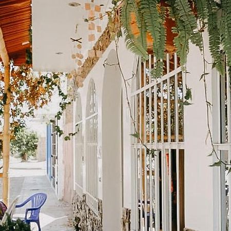 Nanasqa Hostel En Nasca / Nazca Ngoại thất bức ảnh