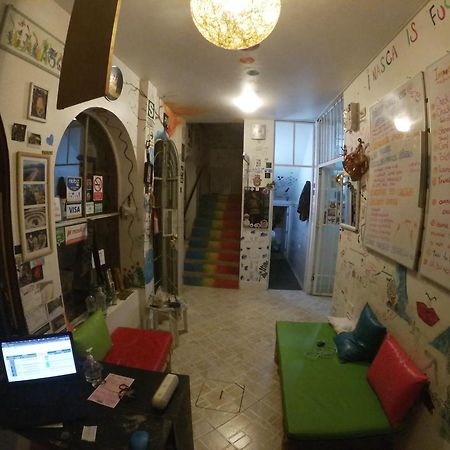 Nanasqa Hostel En Nasca / Nazca Ngoại thất bức ảnh