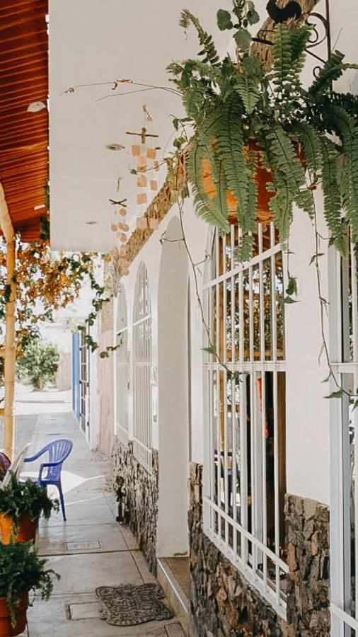 Nanasqa Hostel En Nasca / Nazca Ngoại thất bức ảnh