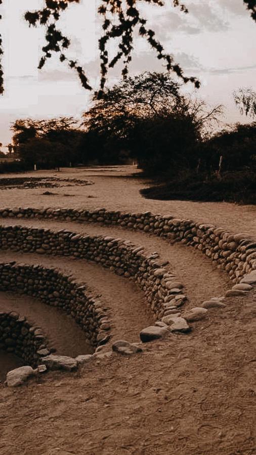 Nanasqa Hostel En Nasca / Nazca Ngoại thất bức ảnh