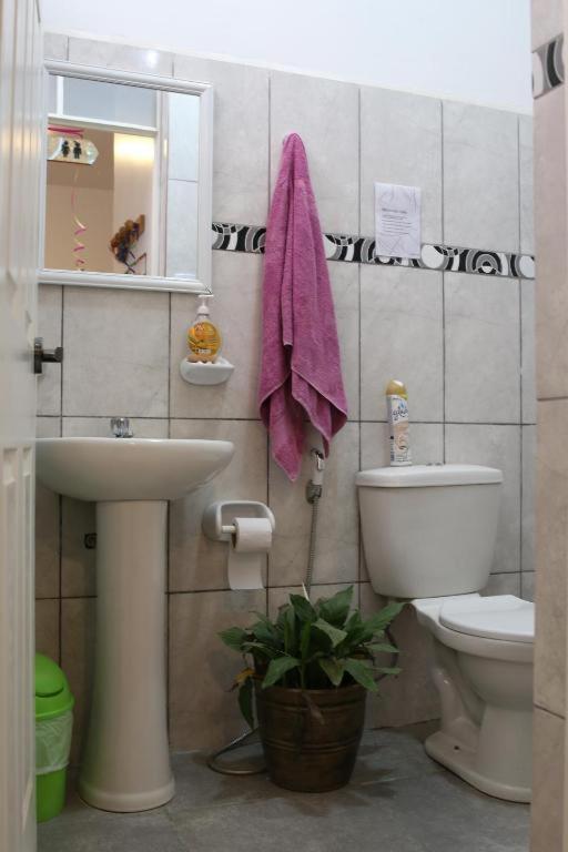 Nanasqa Hostel En Nasca / Nazca Ngoại thất bức ảnh